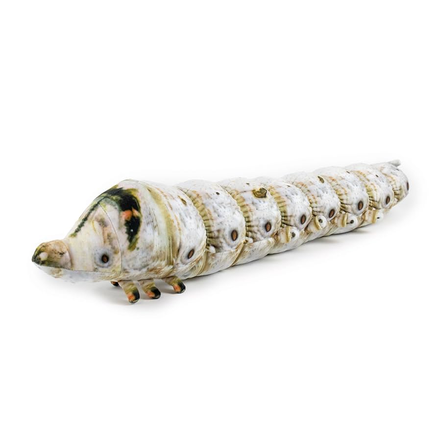 Amazon.co.jp: 太洋産業貿易 SA059 ワイルドグラフィ カイコ